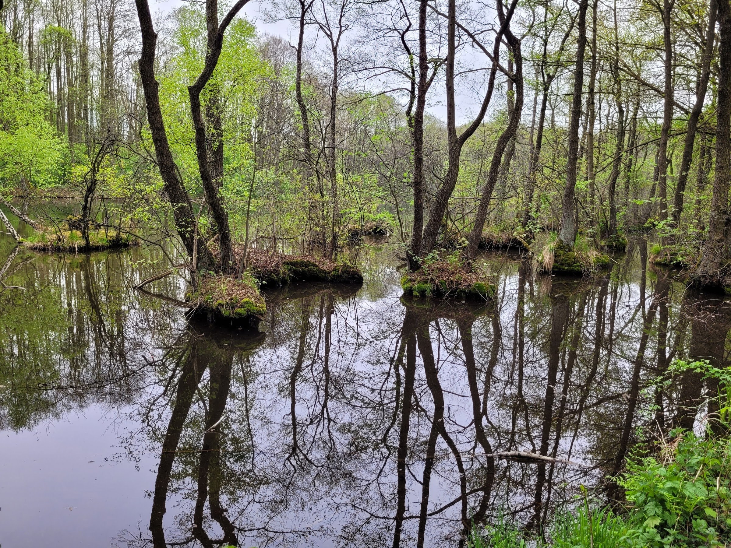 Niebieskie Źródła Nature Reserve